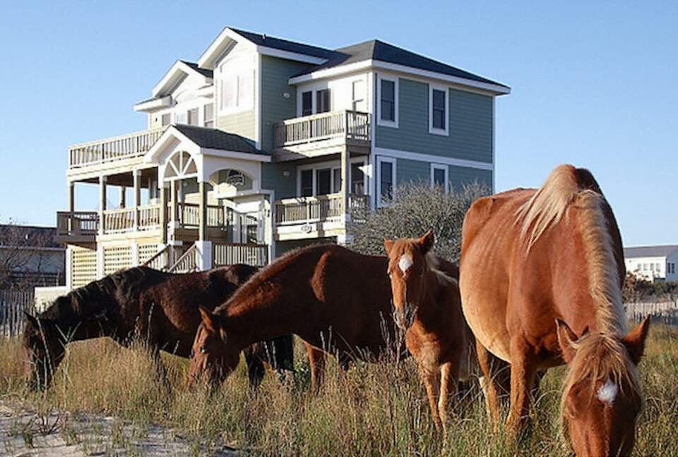 Stargazer Oceanside Home in Carova Beach - Outer Banks - Corolla, North Carolina