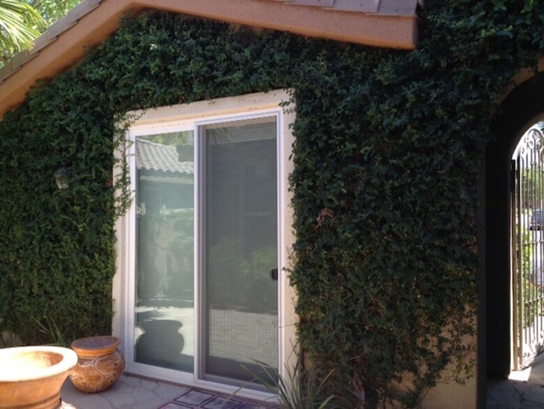 Desert Tranquility - La Quinta, California