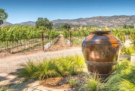 Silver Spur Vineyard - Napa, California