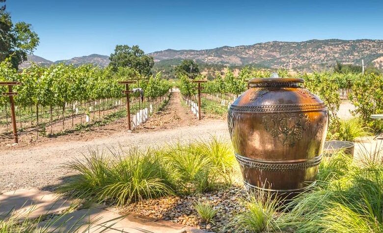 Silver Spur Vineyard - Napa, California