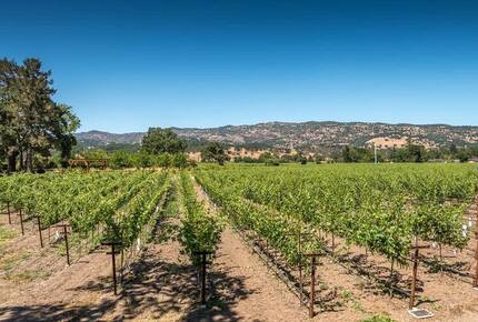 Silver Spur Vineyard - Napa, California