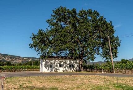 Silver Spur Vineyard - Napa, California