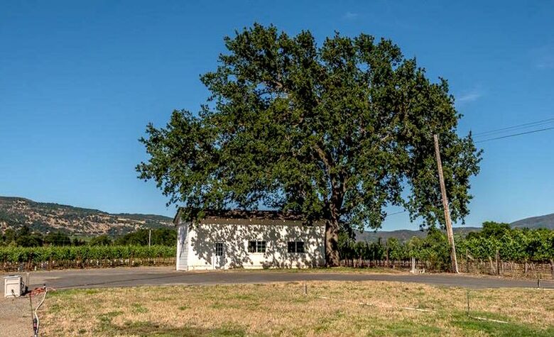 Silver Spur Vineyard - Napa, California