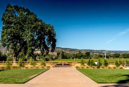 Silver Spur Vineyard - Napa, California