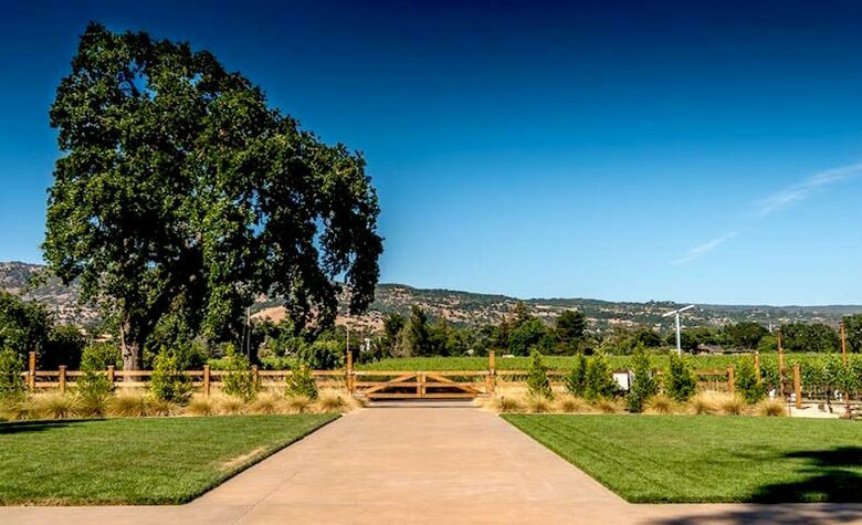 Silver Spur Vineyard - Napa, California