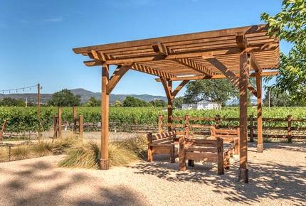 Silver Spur Vineyard - Napa, California