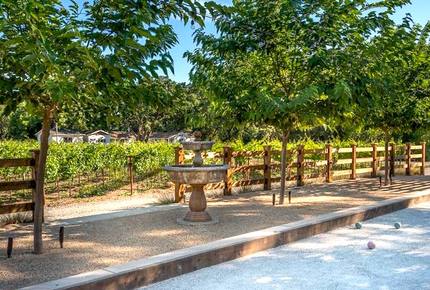 Silver Spur Vineyard - Napa, California