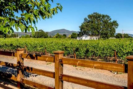 Silver Spur Vineyard - Napa, California