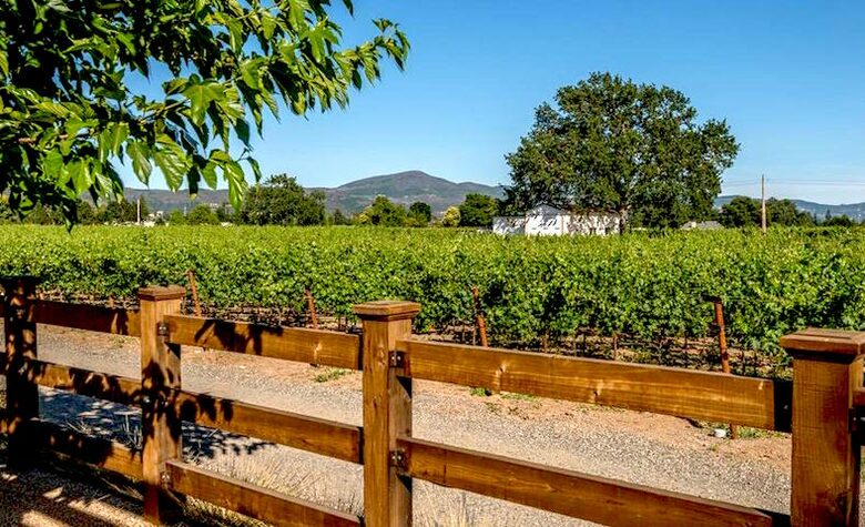 Silver Spur Vineyard - Napa, California