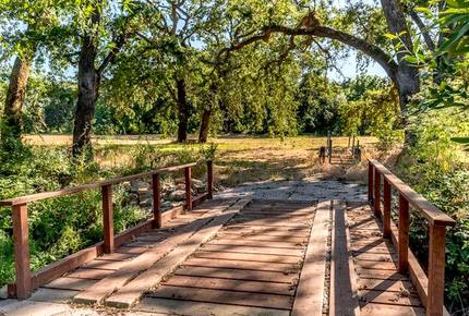 Silver Spur Vineyard - Napa, California