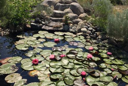 Tahoe Nevada Log Home - Gardnerville, Nevada