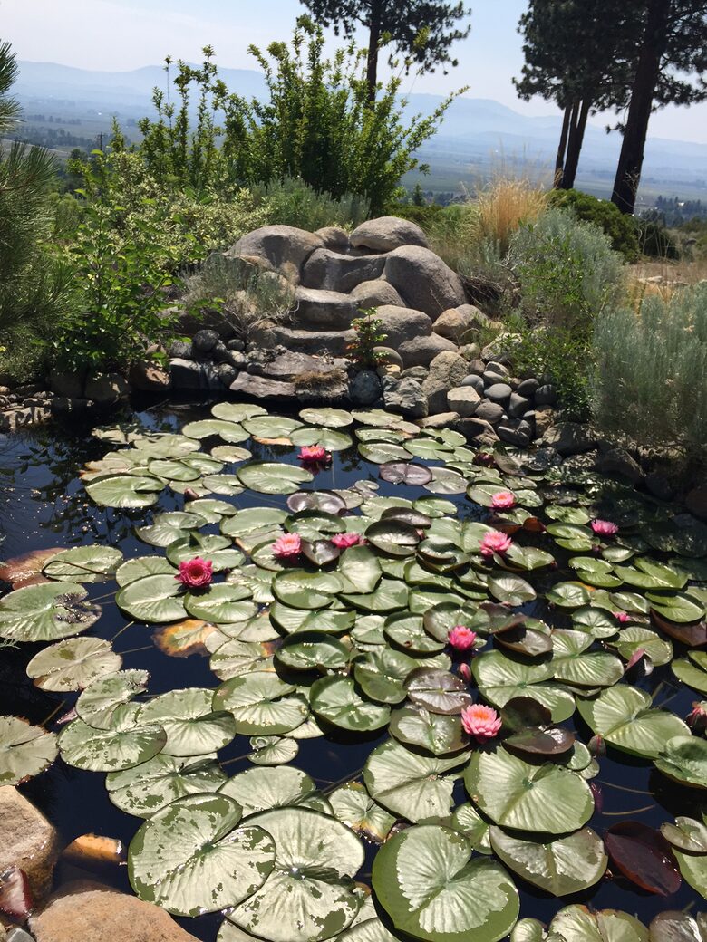 Tahoe Nevada Log Home - Gardnerville, Nevada
