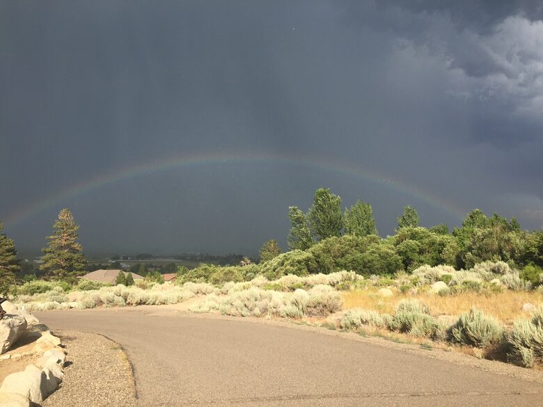 Tahoe Nevada Log Home - Gardnerville, Nevada