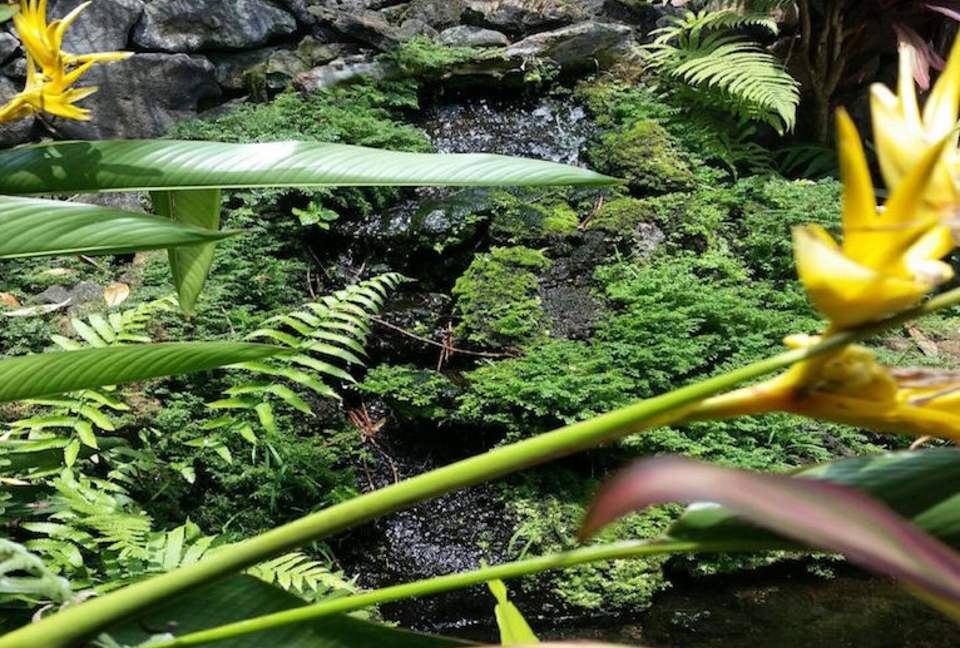 The Auamo Compound at Hokuli'a - KEALAKEKUA, Big Island, Hawaii