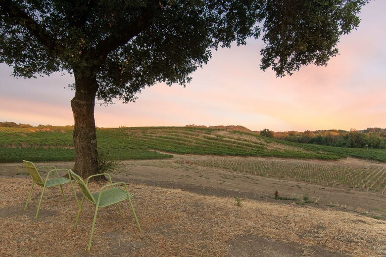 Enriquez Vineyard Cottage - Napa/Sonoma Area - Forestville, California