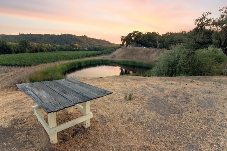 Enriquez Vineyard Cottage - Napa/Sonoma Area - Forestville, California