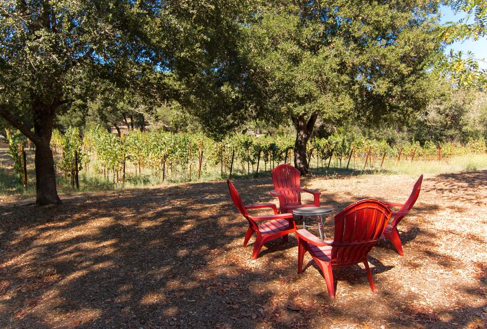 Enriquez Vineyard Cottage - Napa/Sonoma Area - Forestville, California