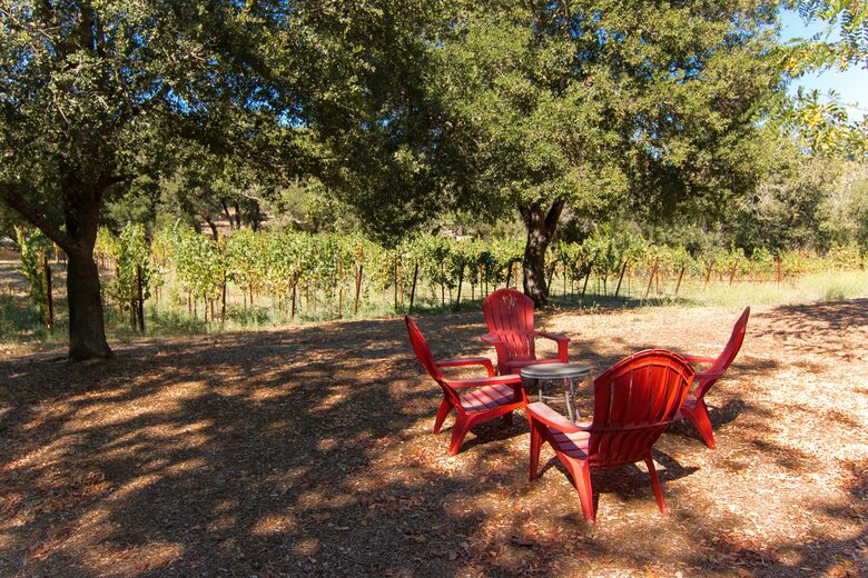 Enriquez Vineyard Cottage - Napa/Sonoma Area - Forestville, California