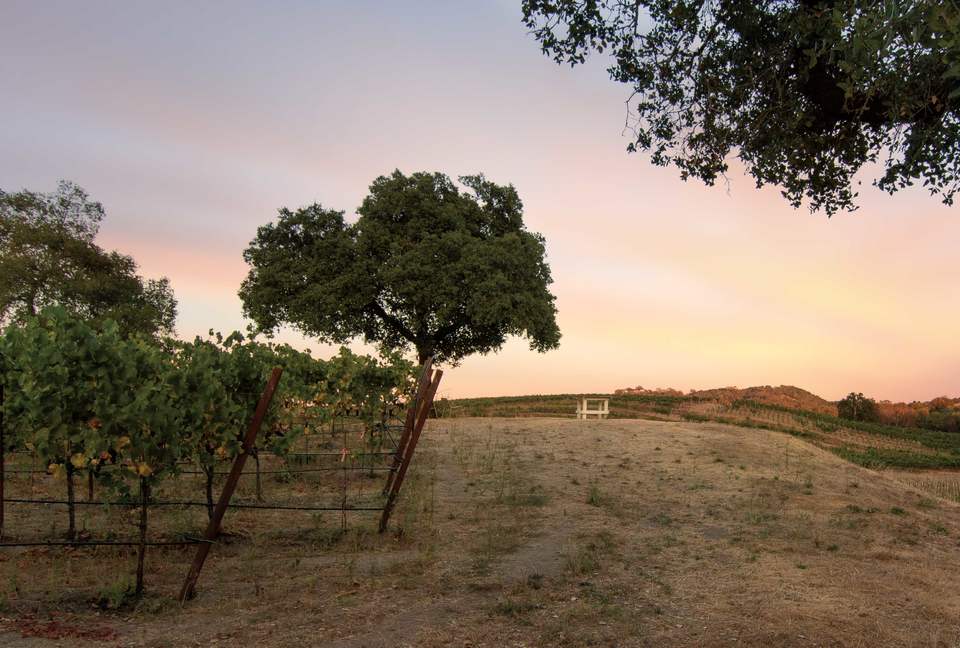 Enriquez Vineyard Cottage - Napa/Sonoma Area - Forestville, California