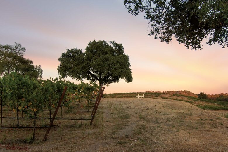 Enriquez Vineyard Cottage - Napa/Sonoma Area - Forestville, California