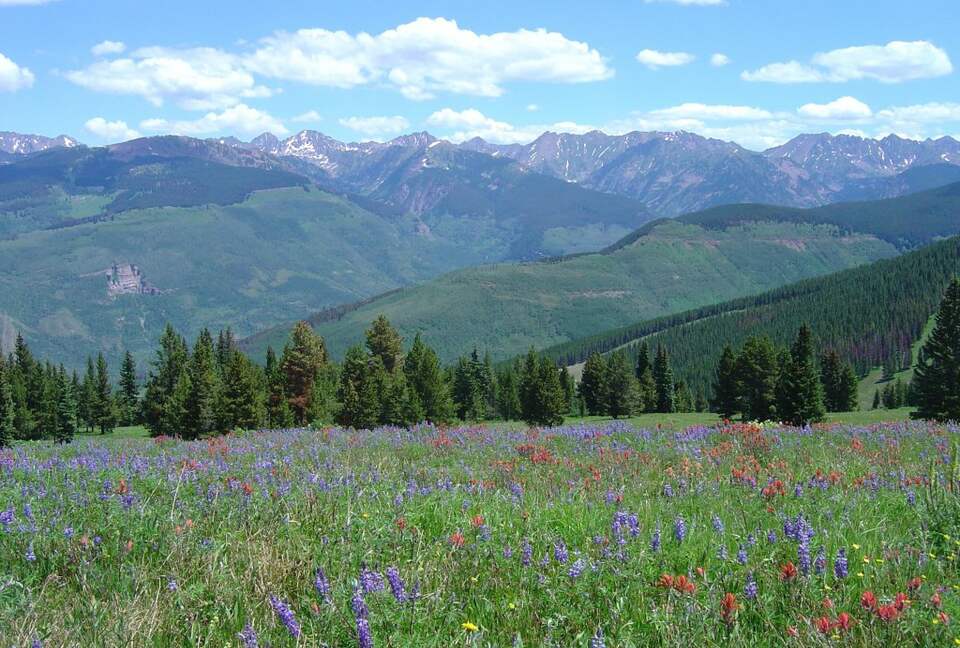 Austria Haus - 3 Bedroom Penthouse - Vail, Colorado