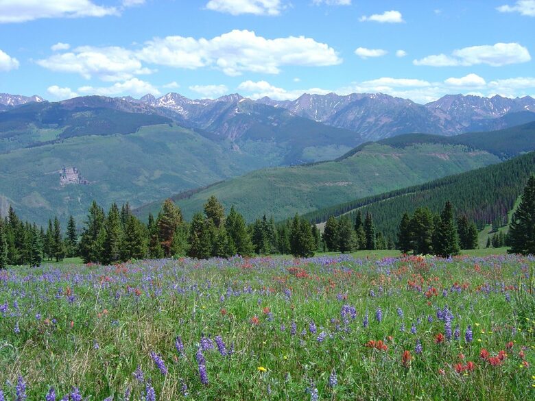 Austria Haus - 3 Bedroom Penthouse - Vail, Colorado