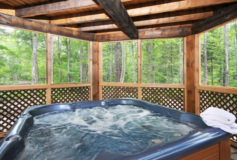 Huge forested riverfront property. 3 minutes to skiing. - Mont Tremblant, Canada