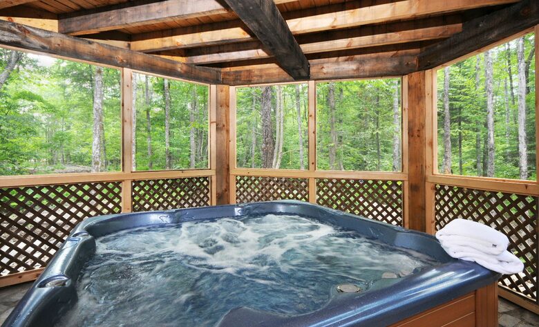 Huge forested riverfront property. 3 minutes to skiing. - Mont Tremblant, Canada