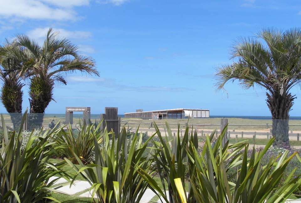 SELENZA ESPECTACULAR - Punta del Este, Uruguay