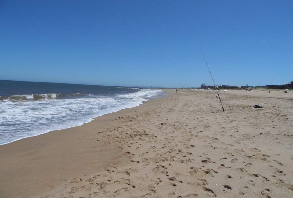 SELENZA ESPECTACULAR - Punta del Este, Uruguay