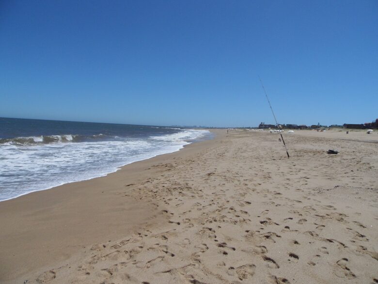 SELENZA ESPECTACULAR - Punta del Este, Uruguay
