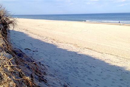 Orleans, Cape Cod, Nature Lovers Paradise - East Orleans, Massachusetts