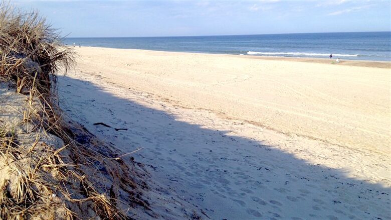 Orleans, Cape Cod, Nature Lovers Paradise - East Orleans, Massachusetts