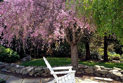 Orleans, Cape Cod, Nature Lovers Paradise - East Orleans, Massachusetts