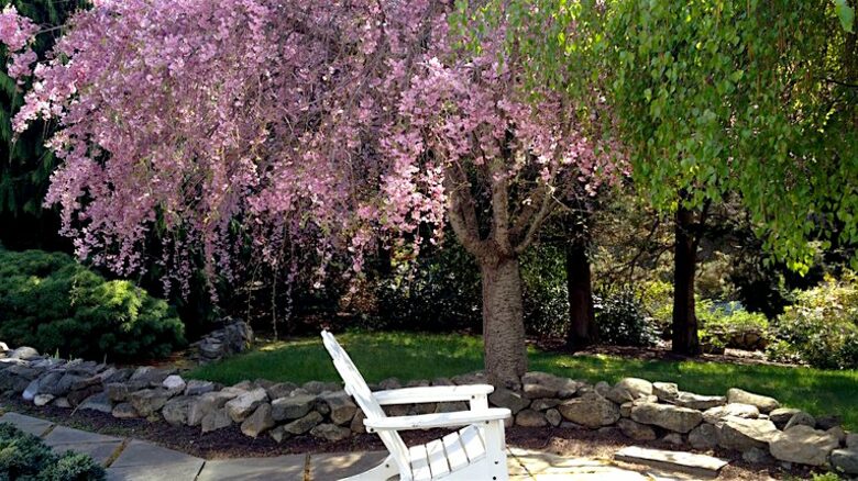 Orleans, Cape Cod, Nature Lovers Paradise - East Orleans, Massachusetts