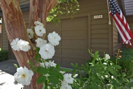 Yountville Gem - Epicenter of Wine Country - Yountville, California