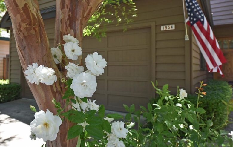 Yountville Gem - Epicenter of Wine Country - Yountville, California