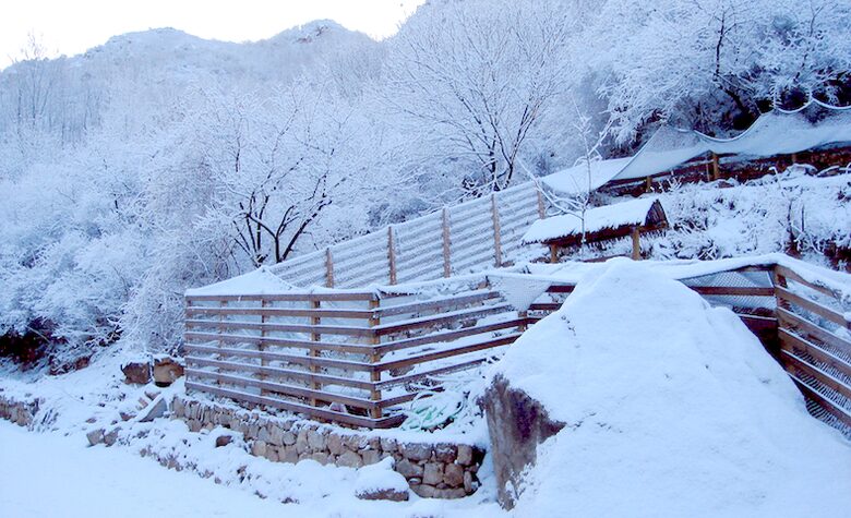 Great Wall Paradise Villa - Beijing, China