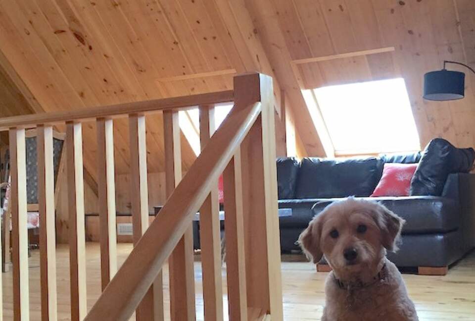 Classic Maine Coastline Estate - Phippsburg, Maine