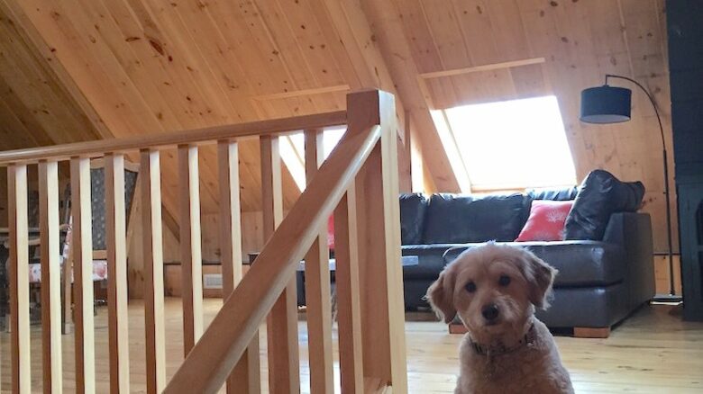 Classic Maine Coastline Estate - Phippsburg, Maine