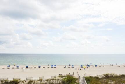 Phoenix III Oceanfront - Orange Beach, Alabama