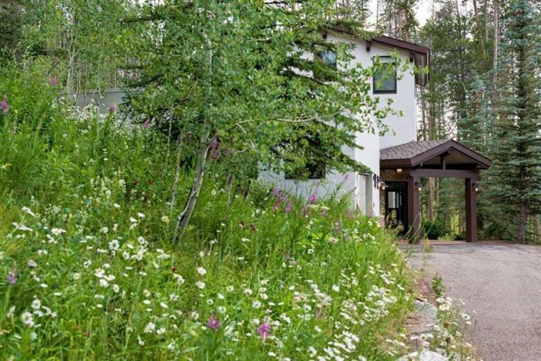 Mountain Masterpiece - Vail, Colorado