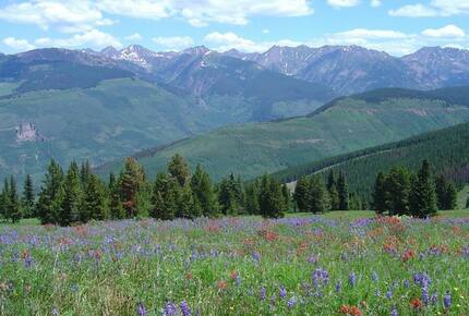 Austria Haus - 3 Bedroom Residence - Vail, Colorado