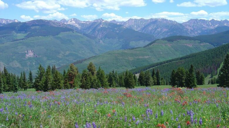 Austria Haus - 3 Bedroom Residence - Vail, Colorado