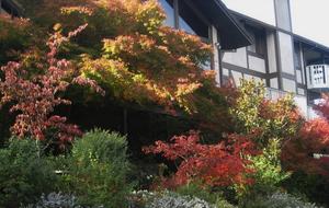 Marin County Luxury View Home - Close to Sonoma and Napa! - Novato, California