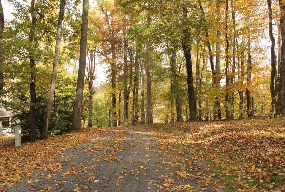 Cabin Time - Blowing Rock, North Carolina