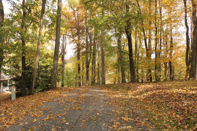 Cabin Time - Blowing Rock, North Carolina