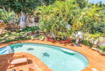 Ohana Paradise - Honolulu, Oahu, Hawaii