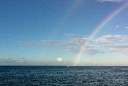 Hawaiian Dream - Kailua, Oahu, Hawaii