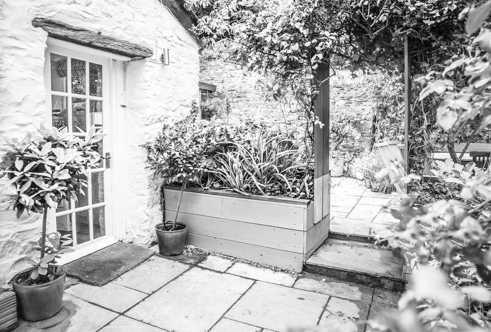 Blue Monkey Cornwall - Kingsand, United Kingdom